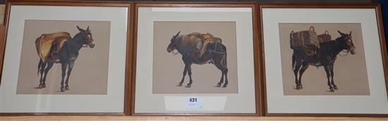 Spanish School, 3 gouaches, Studies of donkeys, 21 x 24cm.